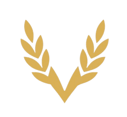 Via Running logo